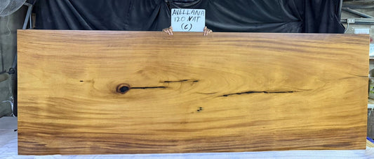 Avellanas 120" Guanacaste Dining Table - Natural- SN534