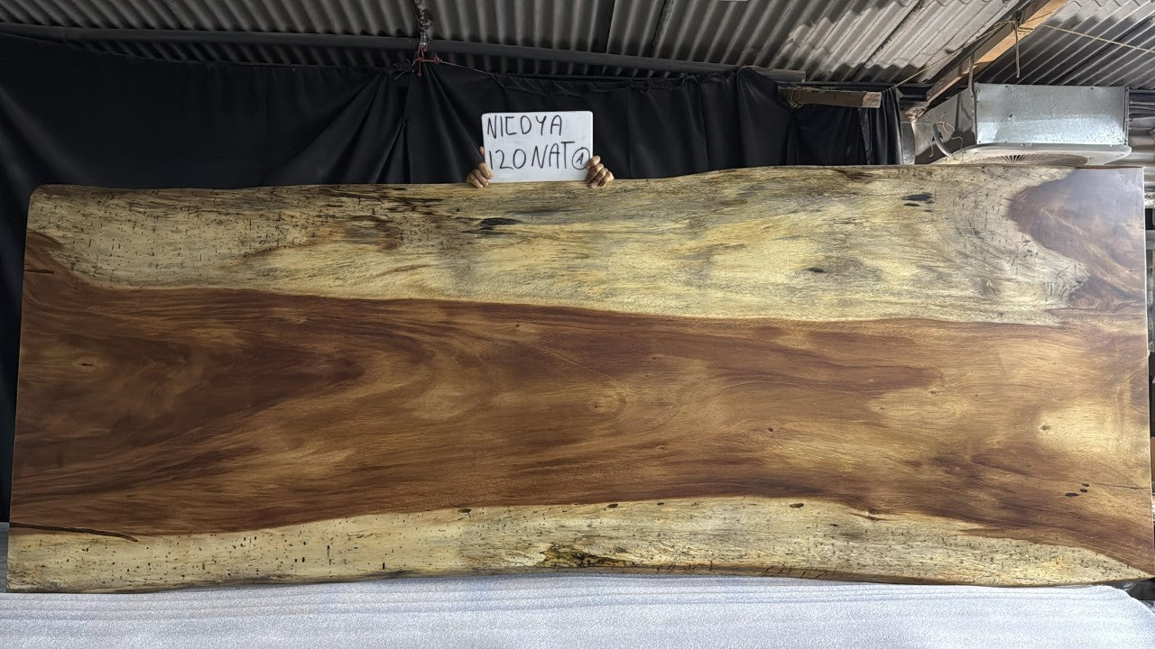 Nicoya 120" Guanacaste Live Edge Dining Table - Natural - SN576